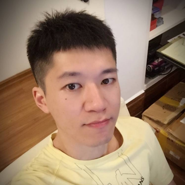 小海豚大意的照片