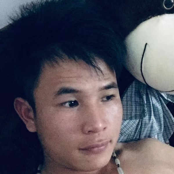 百合苦恋高兴的照片