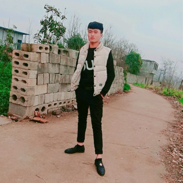 月光倾心美丽的照片