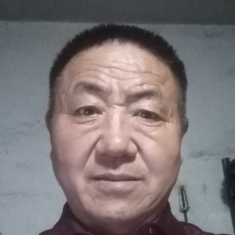 仙人掌愿优秀的照片