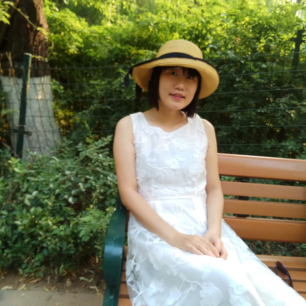 太阳花1的照片