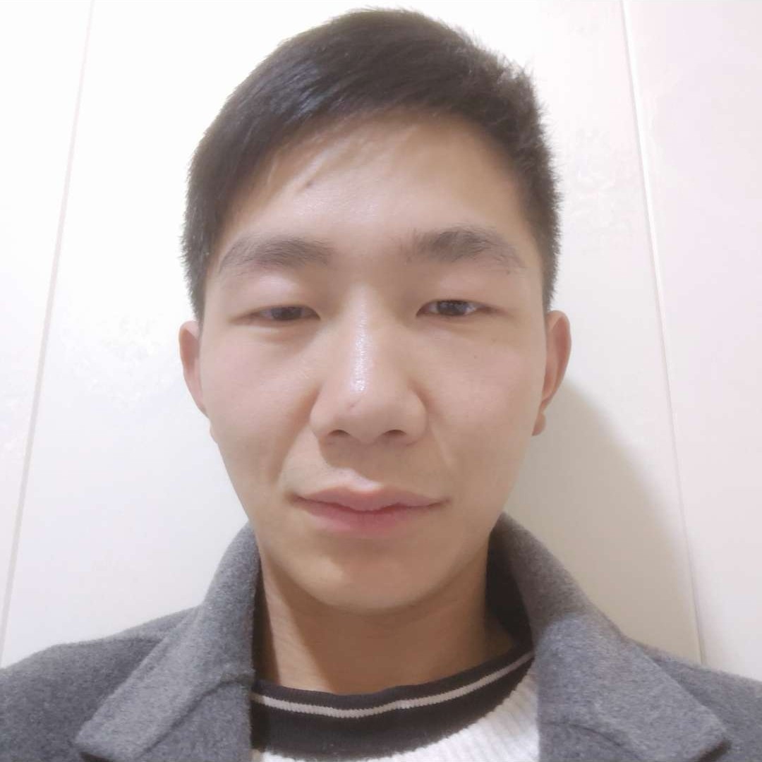 小蚂蚁凝眸干净的照片