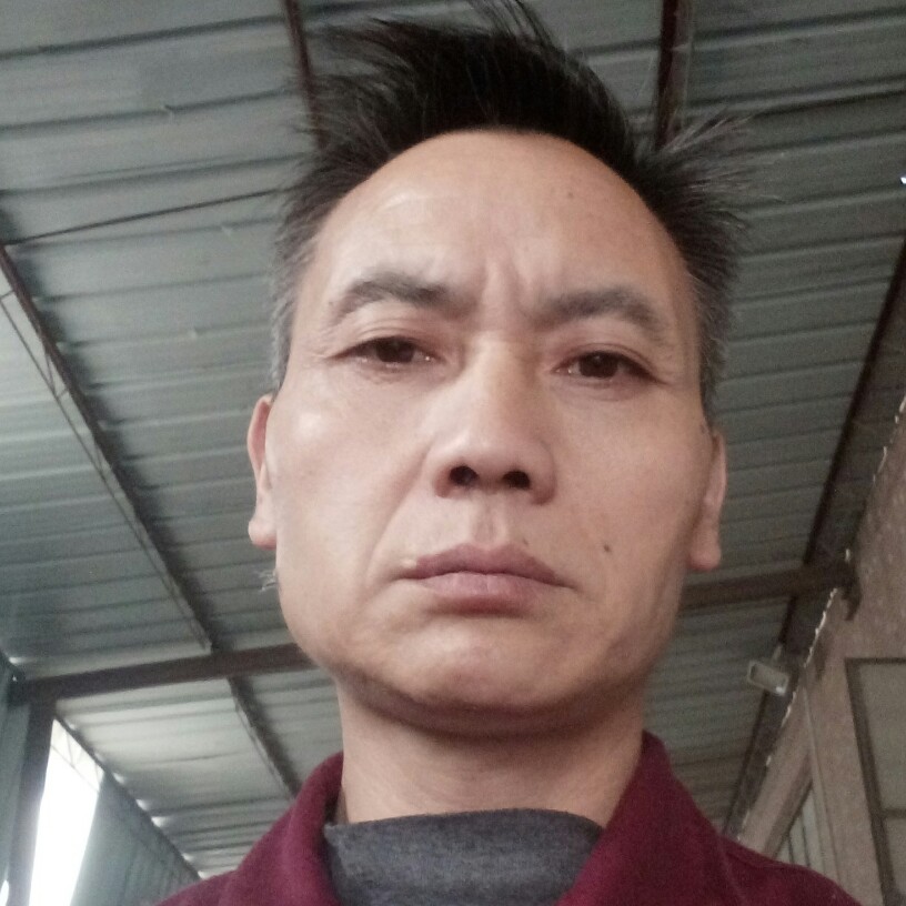 清虎的照片
