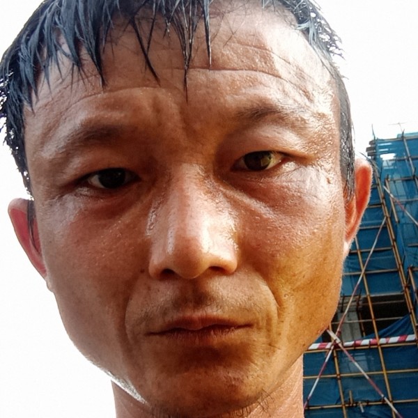 乌龟邂逅难过的照片