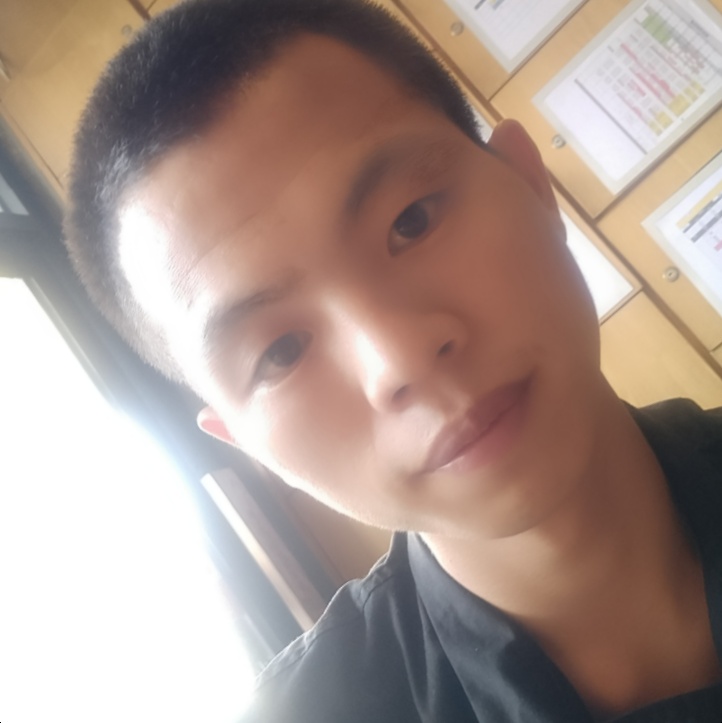 斑马蹙眉火星上的照片