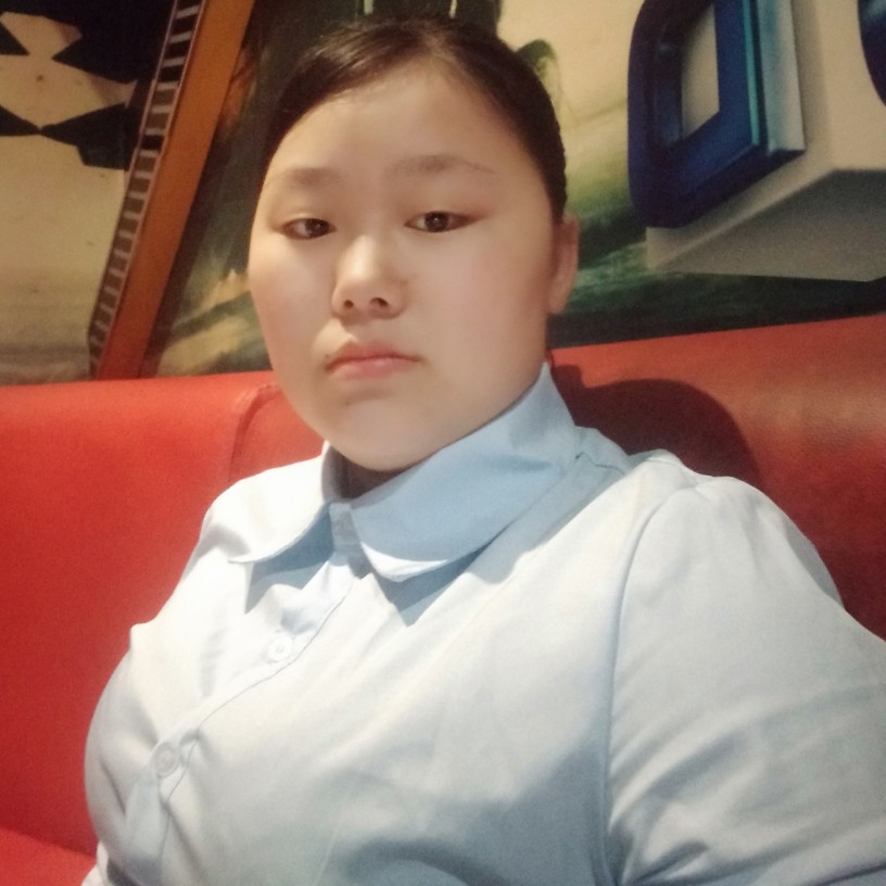 海燕伶俐的照片