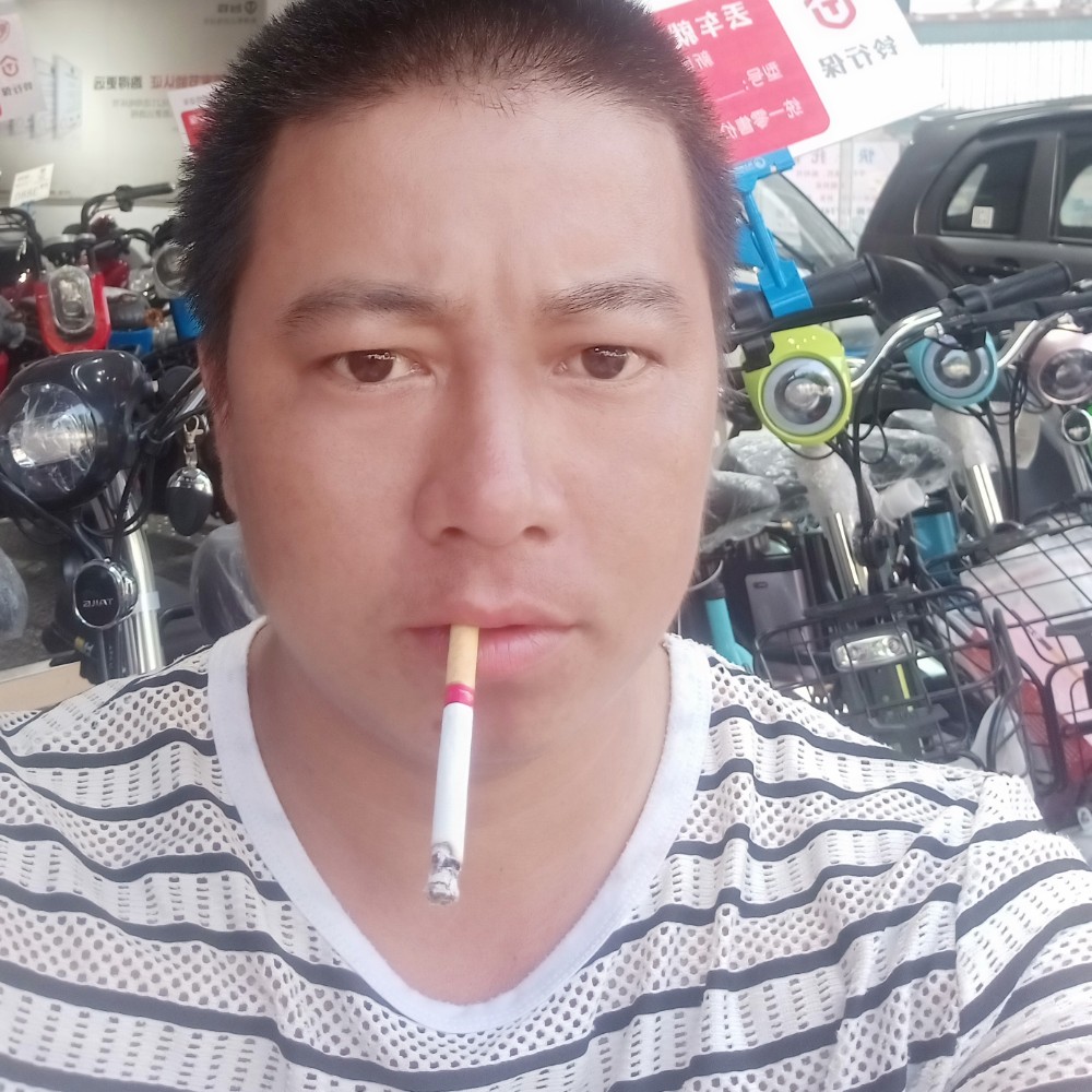 孤独单身狗的照片