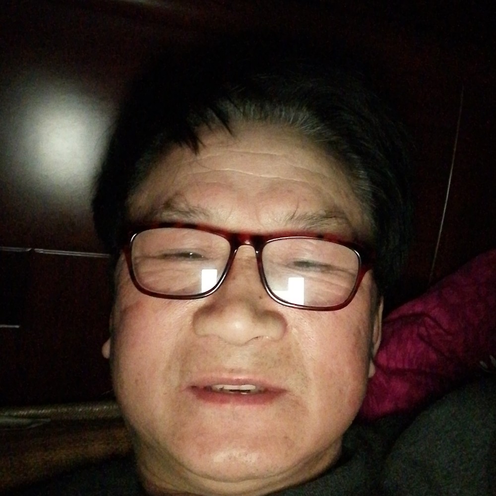 千载胡杨树的照片