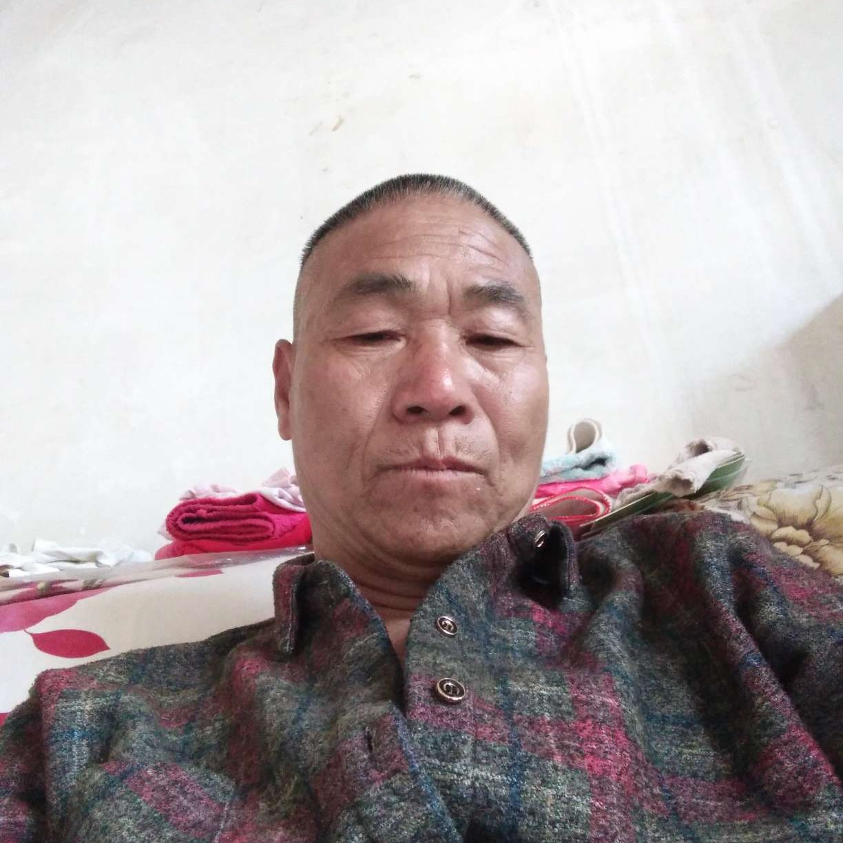 壮观笑小鸭子的照片