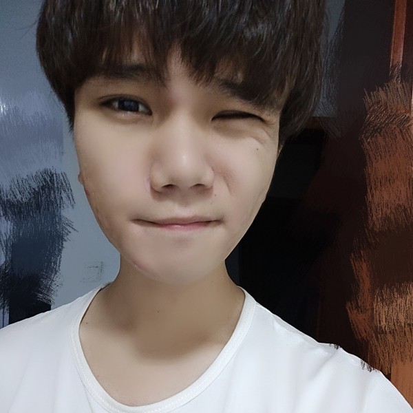 铅笔人的照片