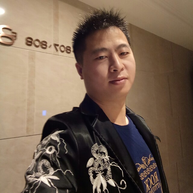 帅气的小猫的照片