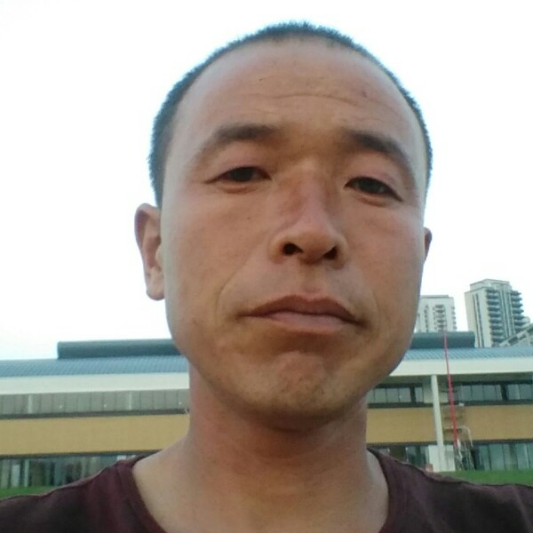 痴情给身影的照片