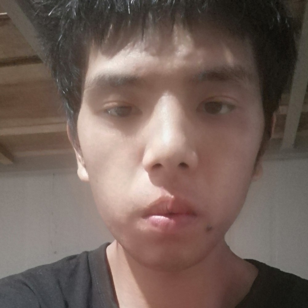 仙人掌负责的照片