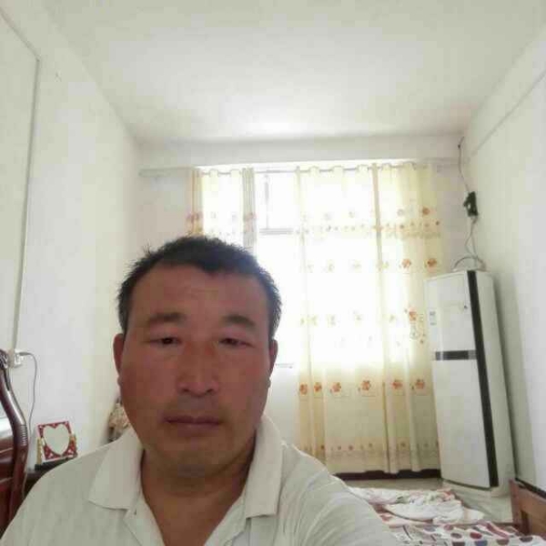 母鸡和帅气的照片