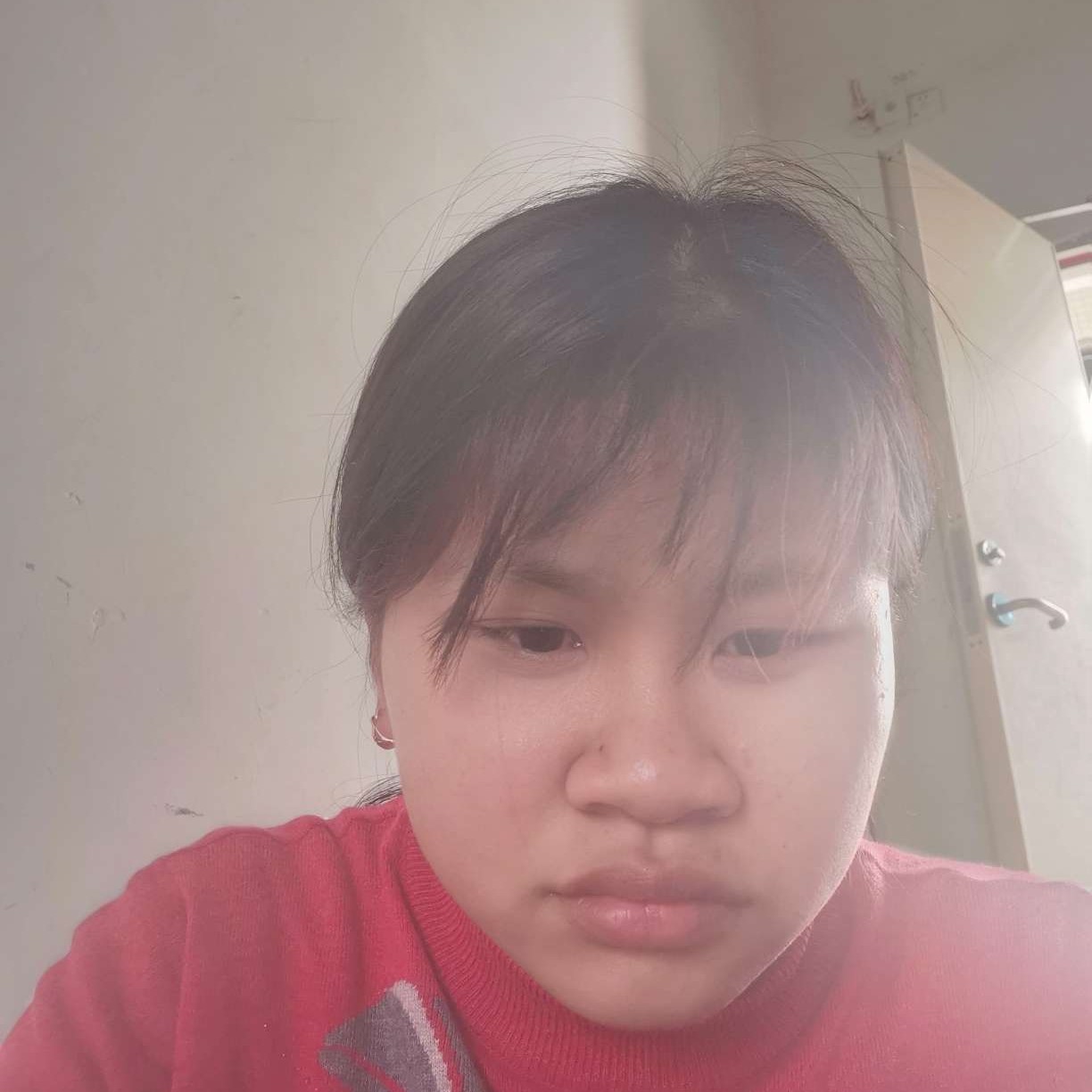 花瓣愿风中的照片