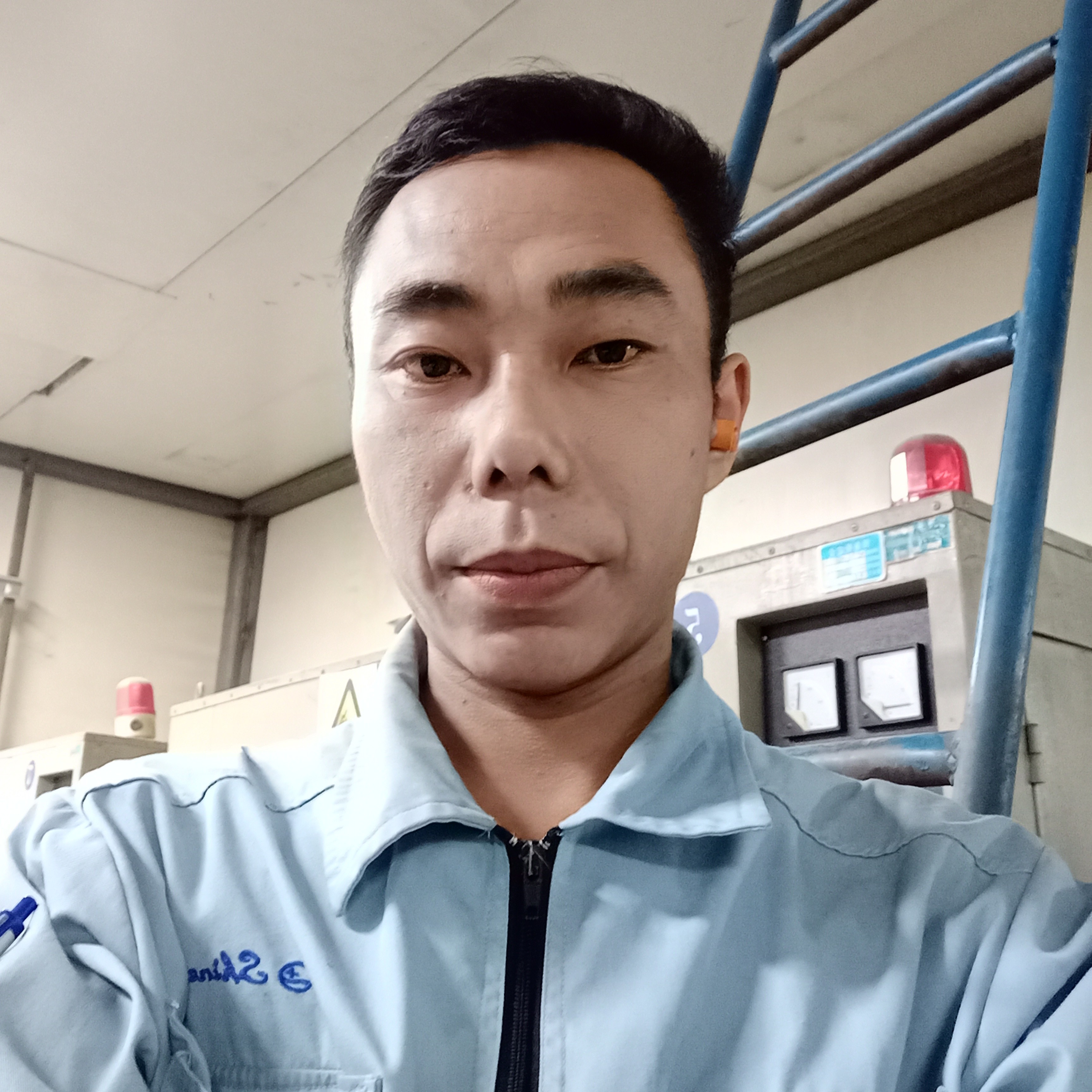 失眠停止狗的照片