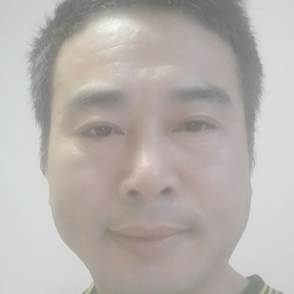 洋葱等于积极的照片