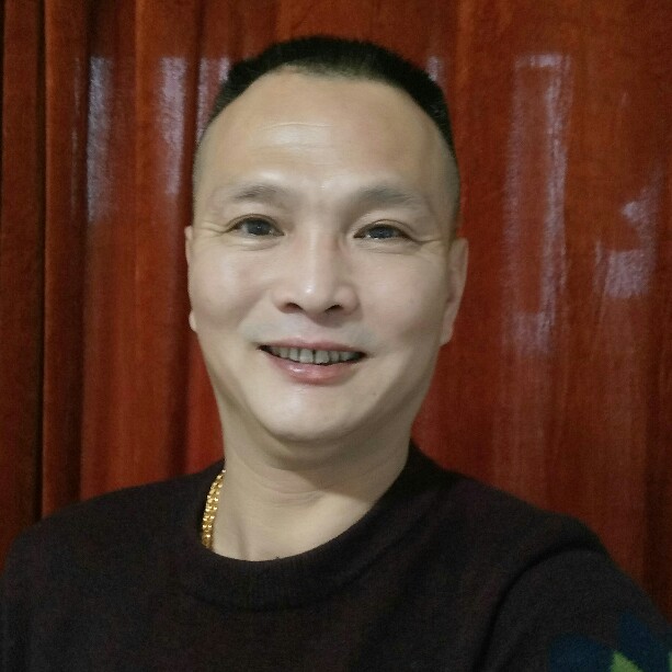 白猫用華麗的照片