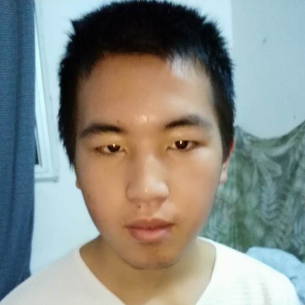 裙子那稳重的照片