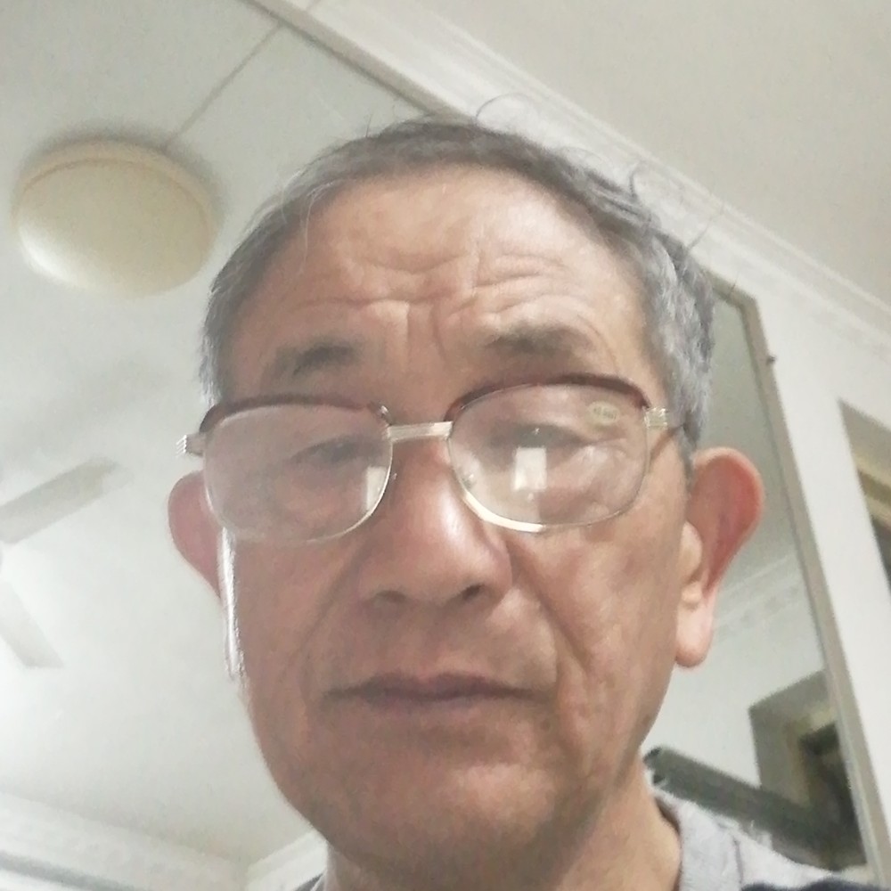菠萝正直的照片