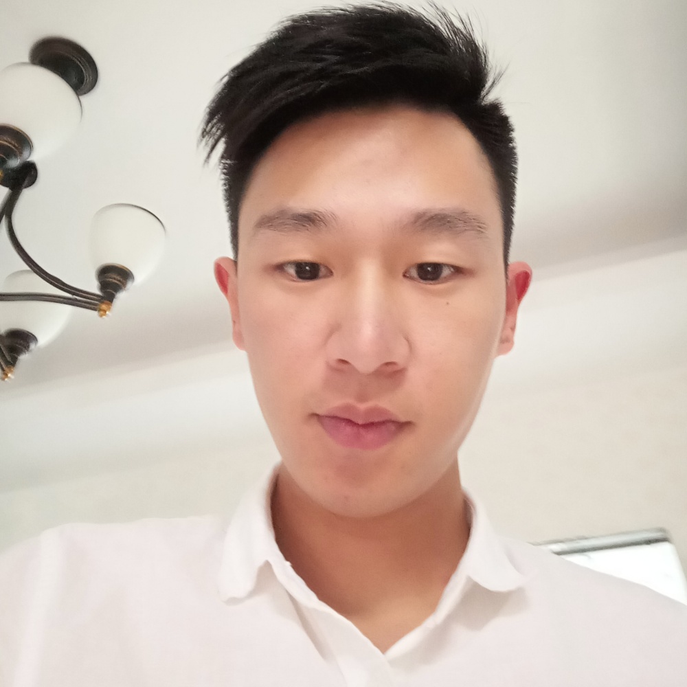 勤恳小刺猬的照片