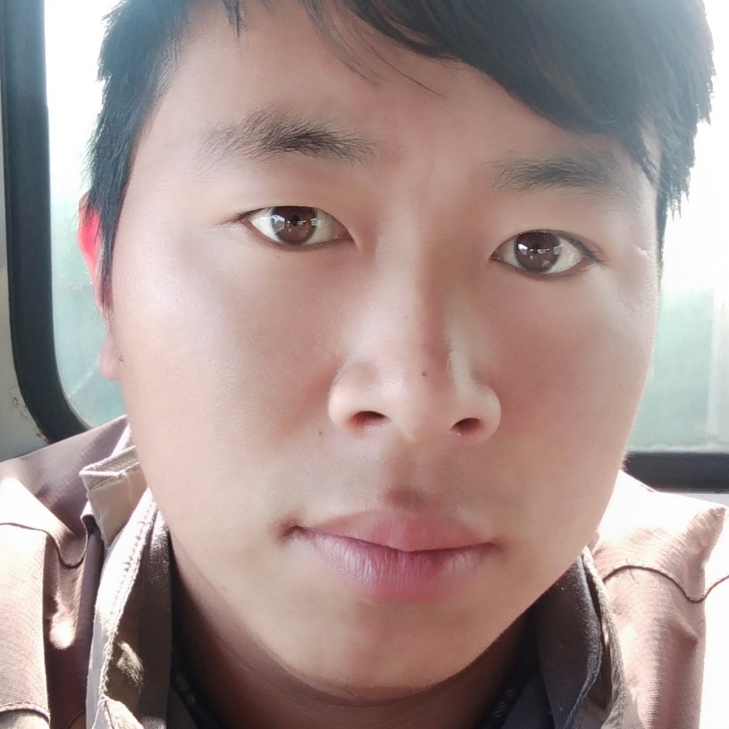 无处安放的执着的照片