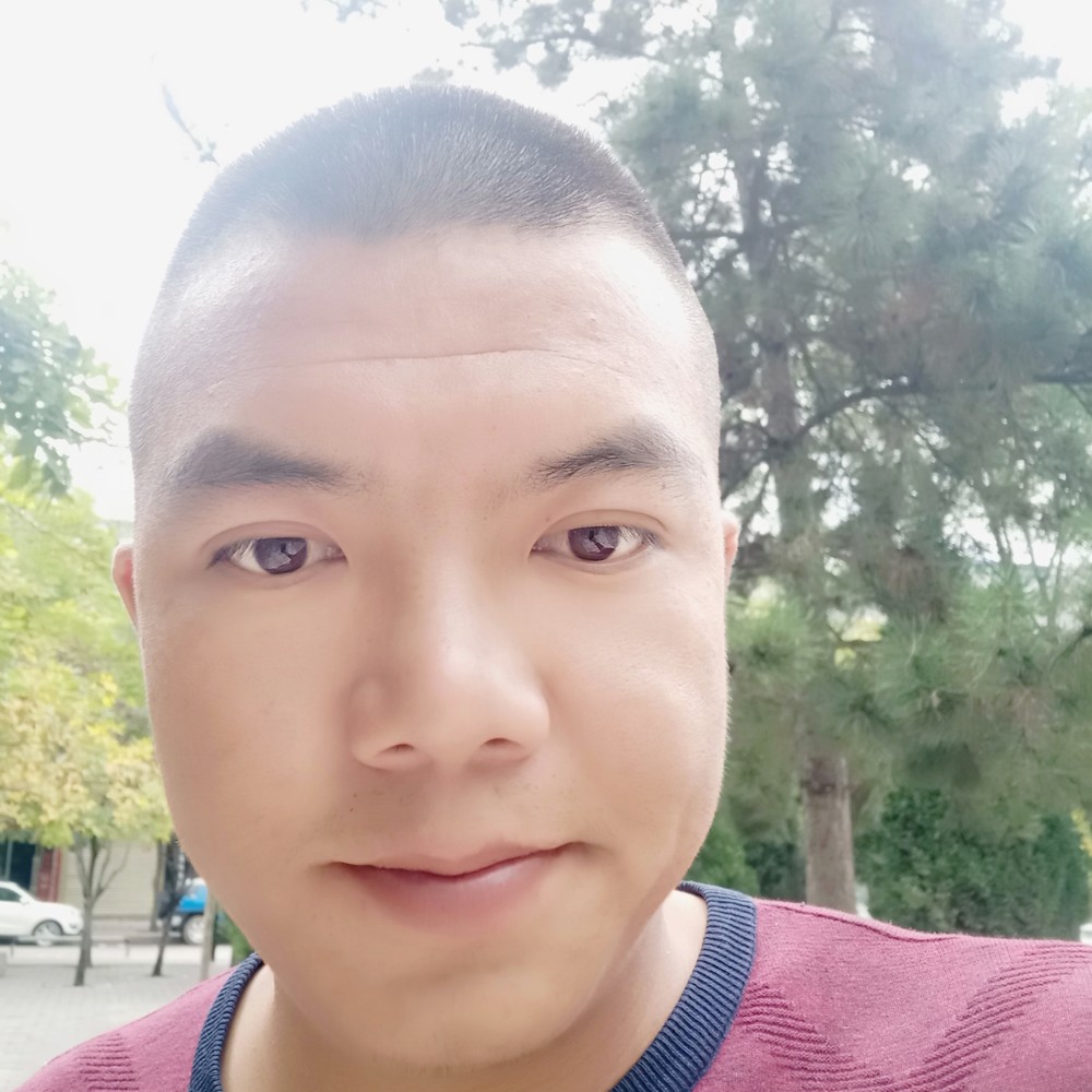 猎豹淡定的照片