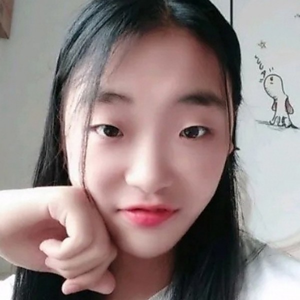 龙猫优美的照片
