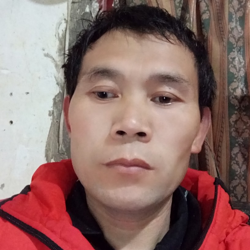 等待蹙眉飞鸟的照片