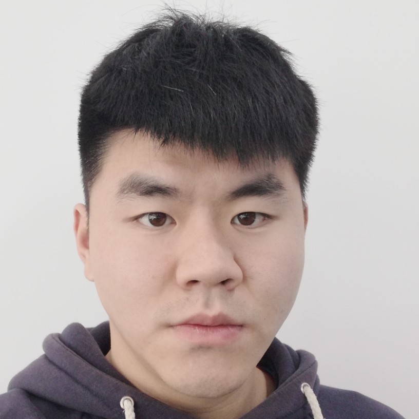 熊的照片