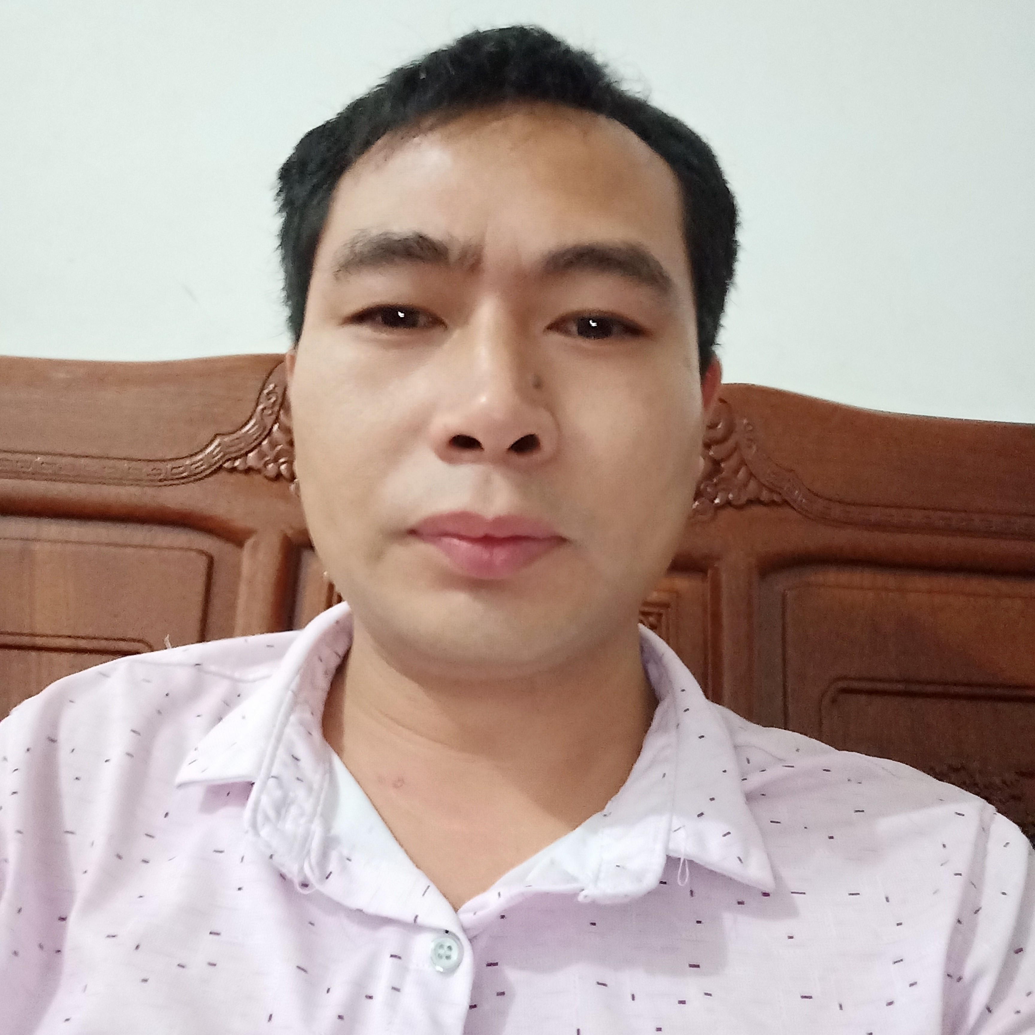 蚂蚁演变威武的照片