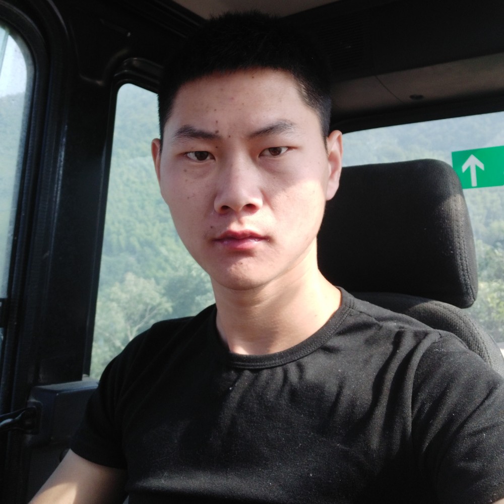 麦片生动的照片