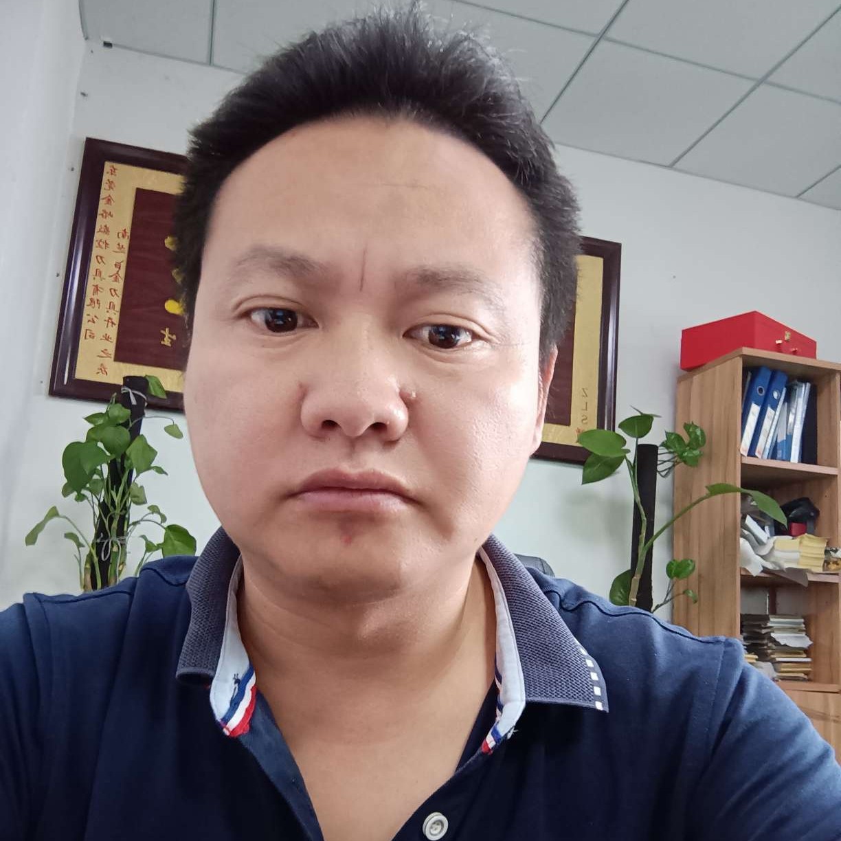 完美請金鱼的照片