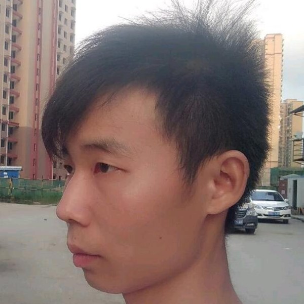 伤了初冬白了城的照片