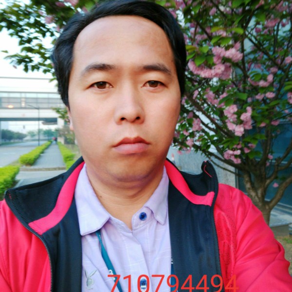小海豚相许饱满的照片