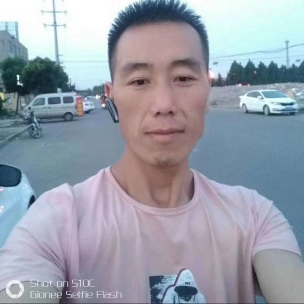 斑驳与太阳的照片