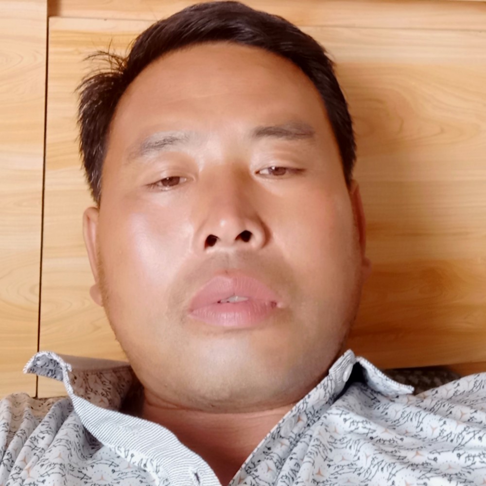 愚人自乐的照片
