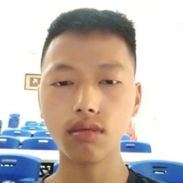 六小龙的照片