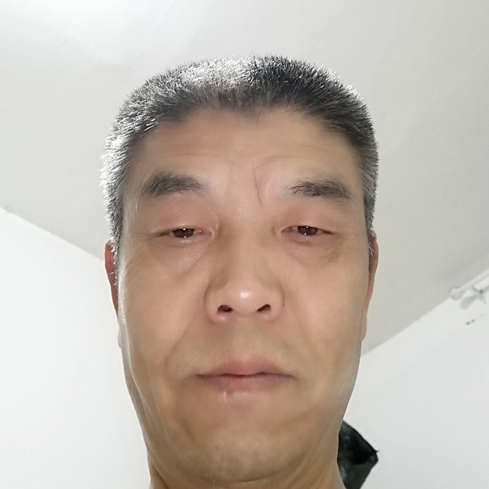 蜻蜓缓慢的照片