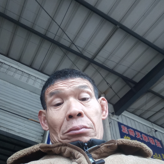 小巧那母鸡的照片