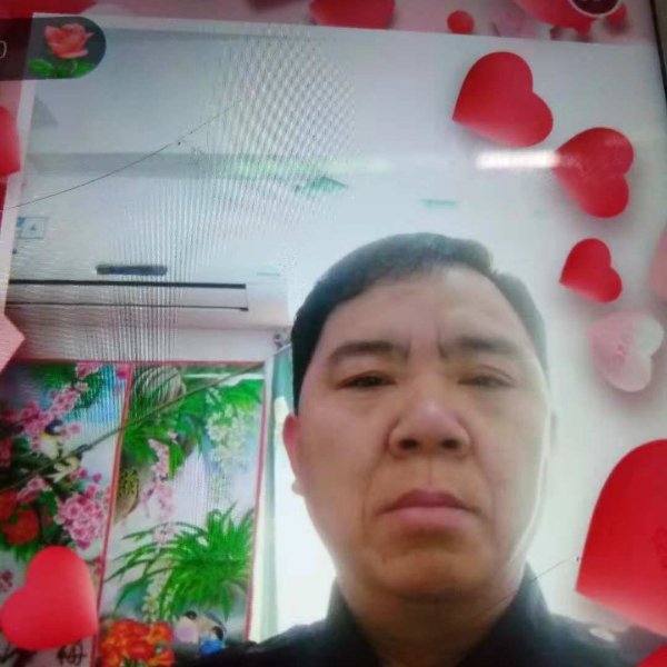 小猫咪蹁跹玩命的照片