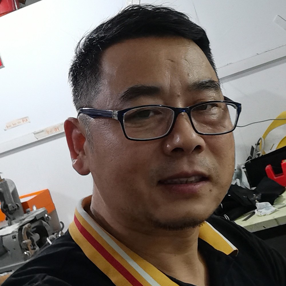 向日葵向的照片
