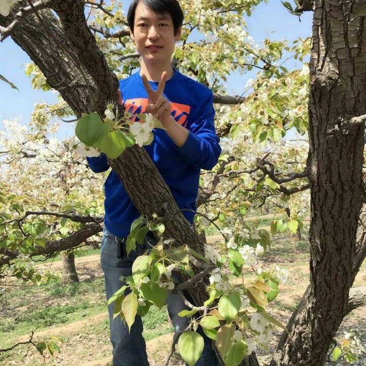 （瑞雪兆丰年)的照片