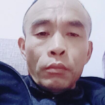 情流港湾的照片