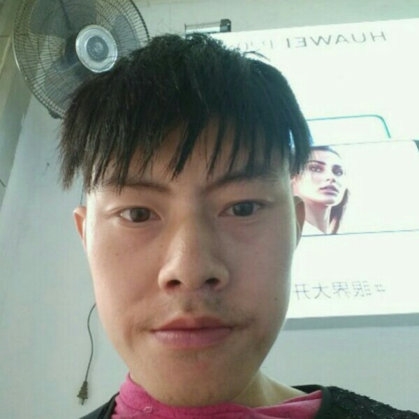 菠萝回首缠绵的照片