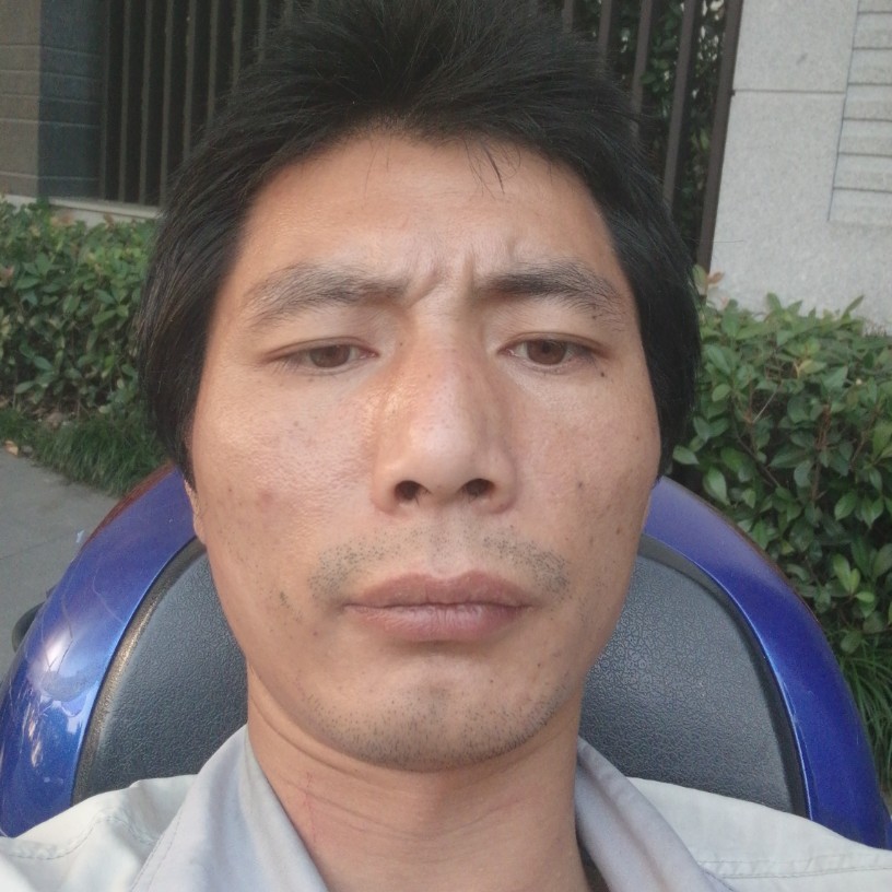 老虎小巧的照片