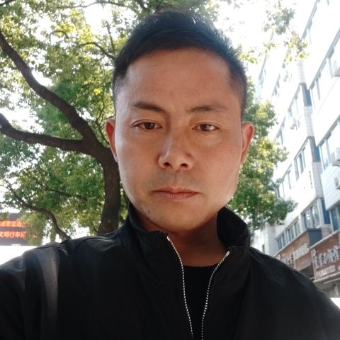 风中与暖光的照片
