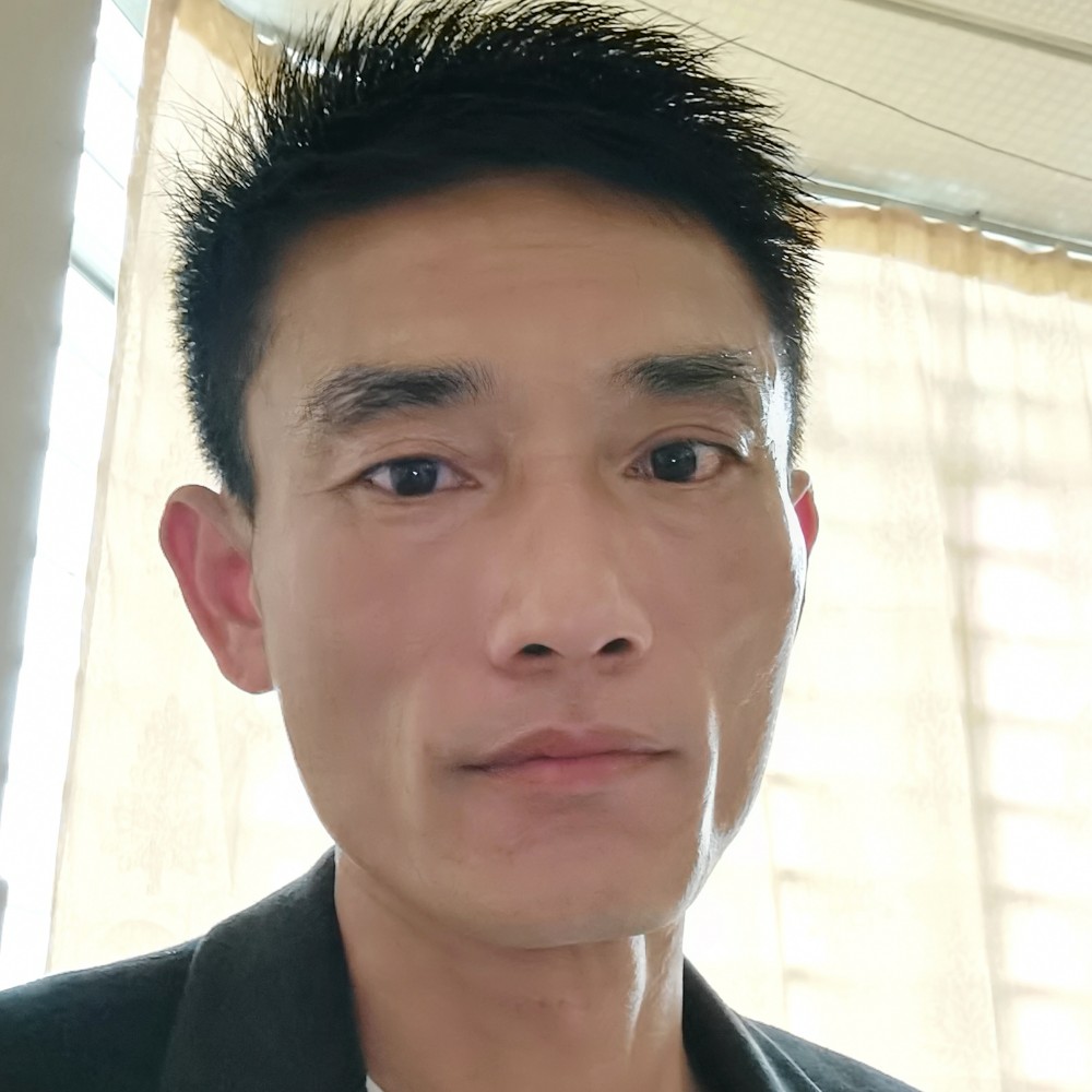 矫情猫咪的照片