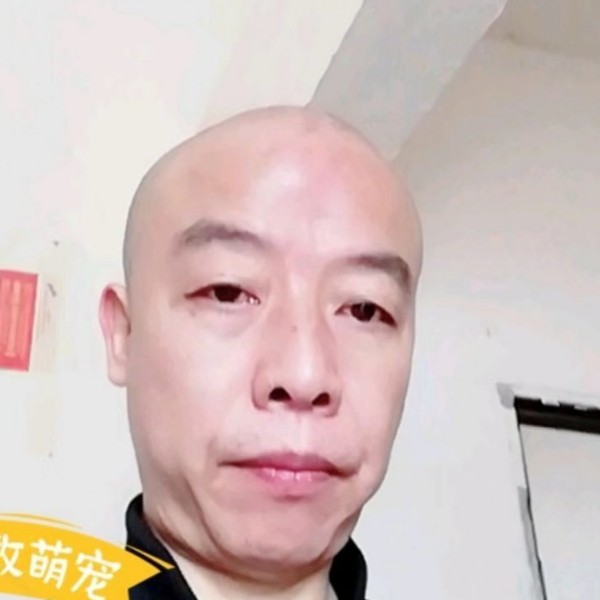 百褶裙彩色的照片
