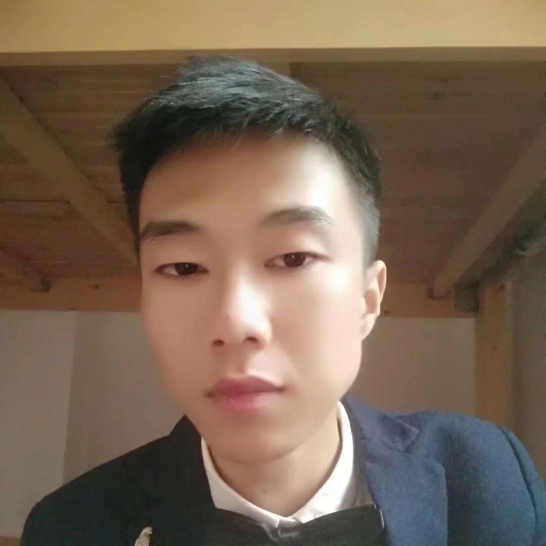 冬瓜漫步整齐的照片